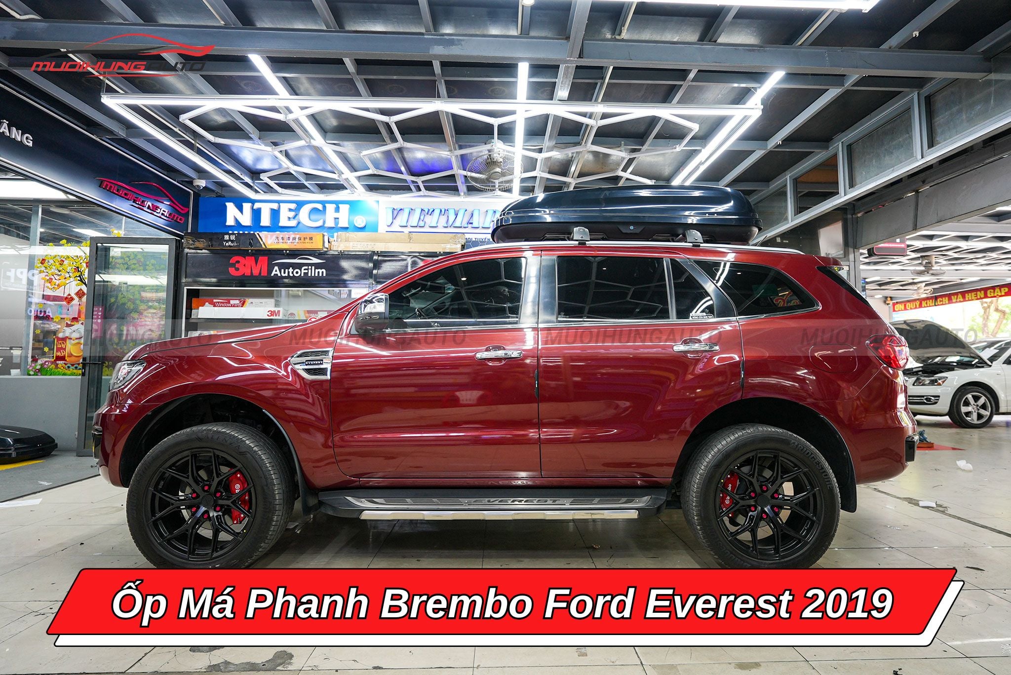 Ốp phanh Brembo Ford Everest 2019