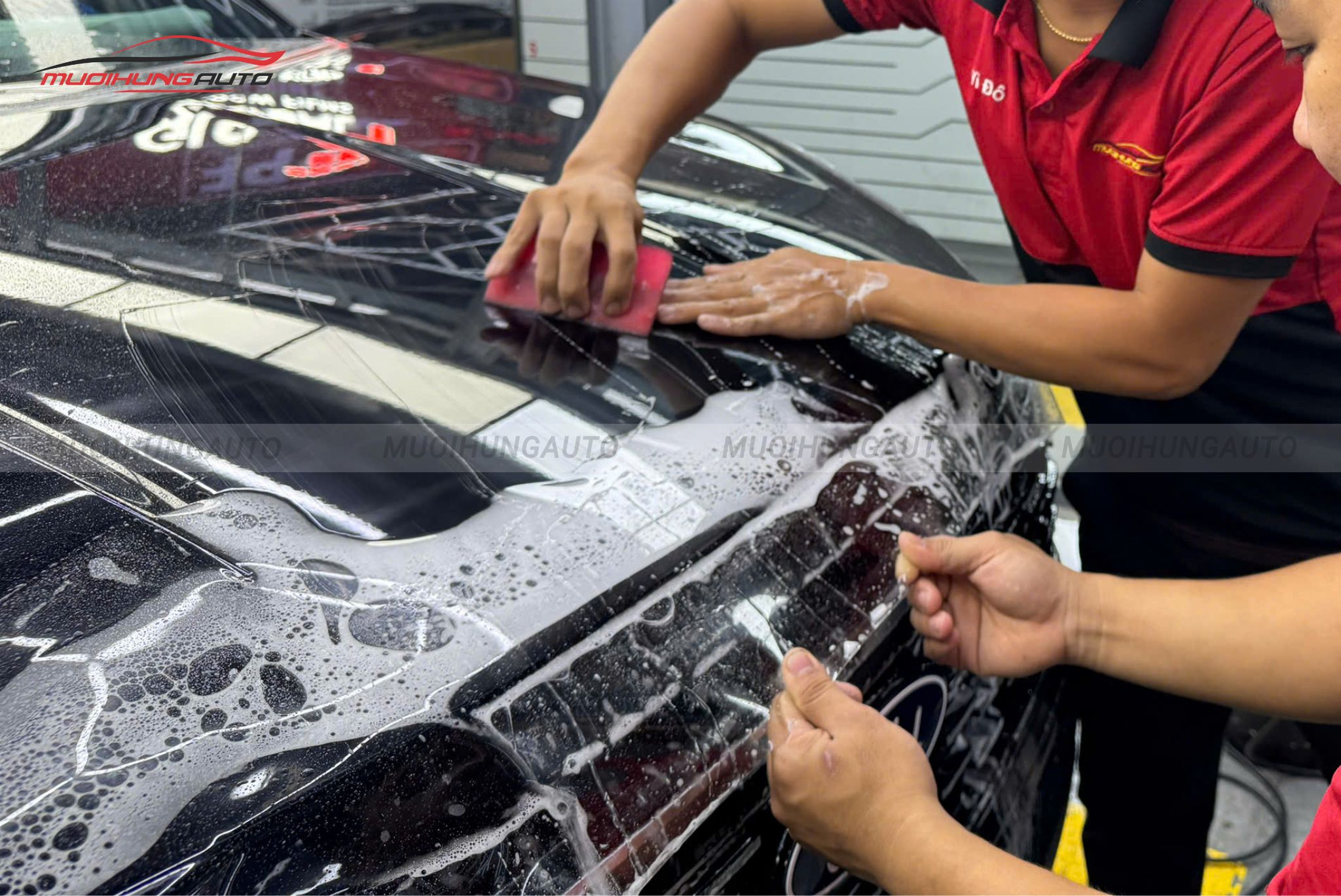 Phim PPF 3M cho xe Ford Territory 2025