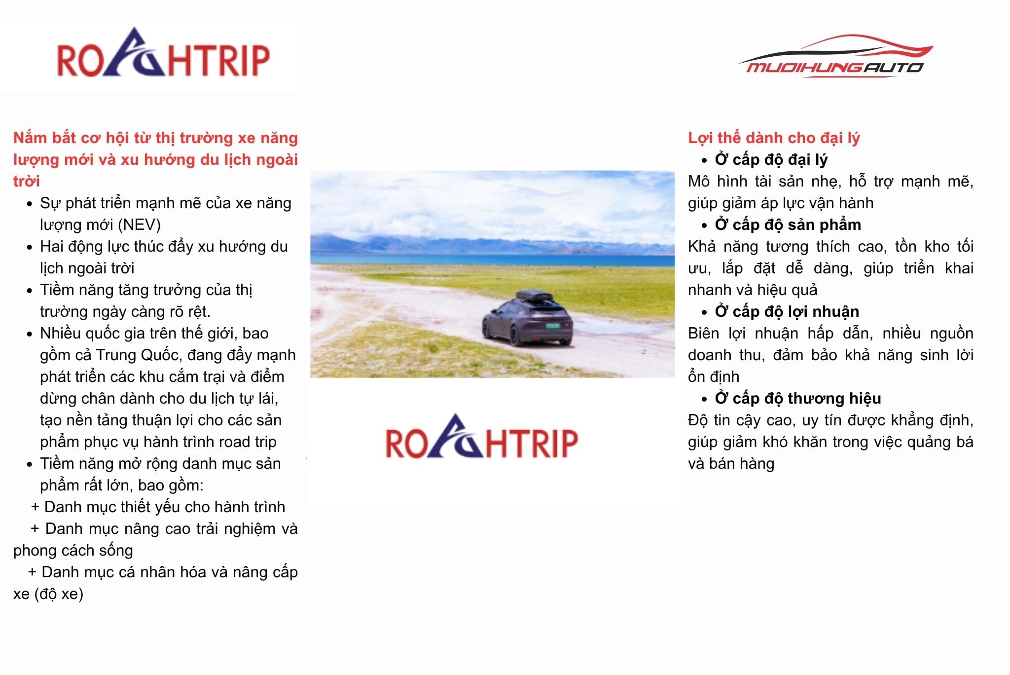 ROAHTRIP có tiềm năng phát triển mạnh mẽ