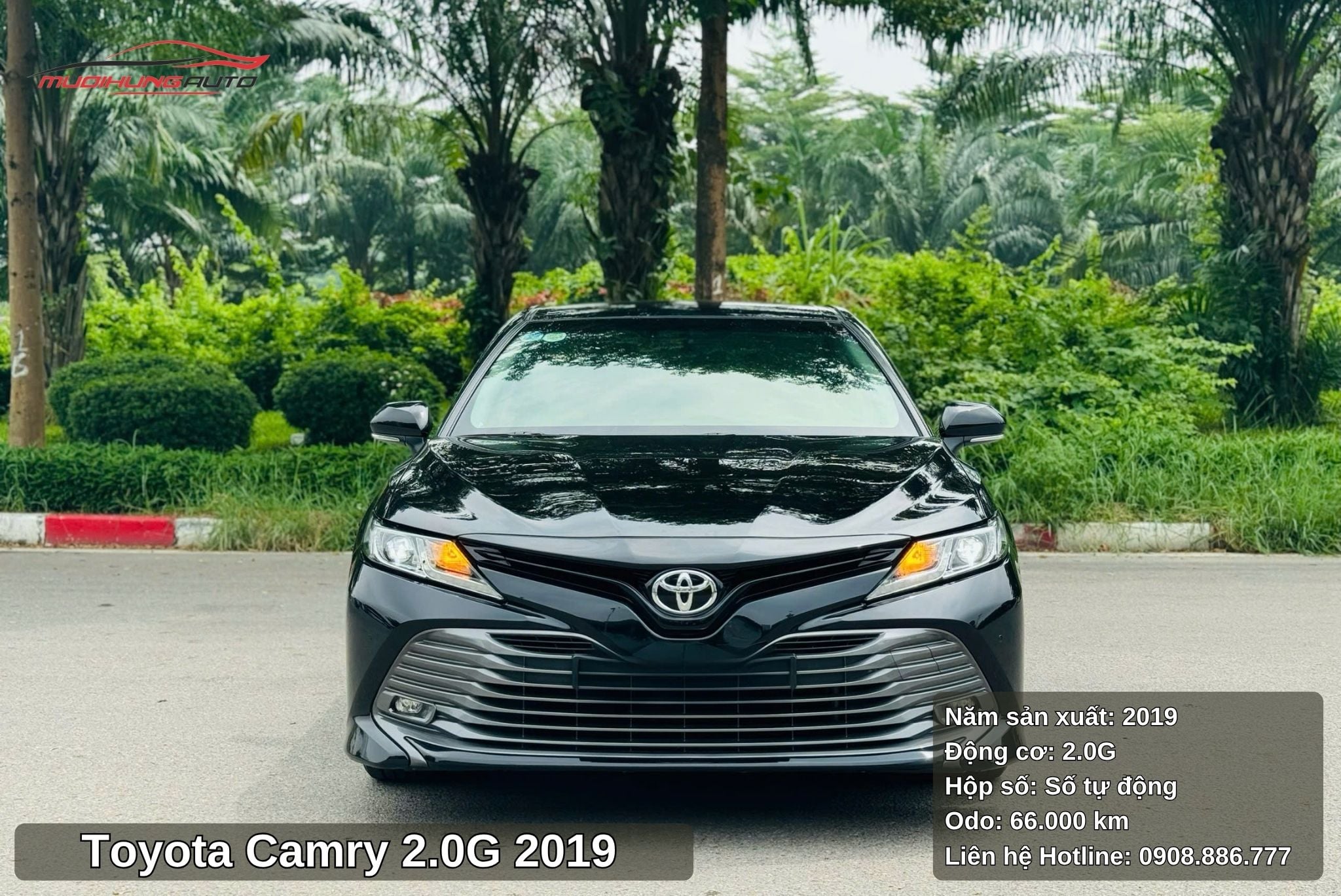 Toyota Camry 2.0G - 2019