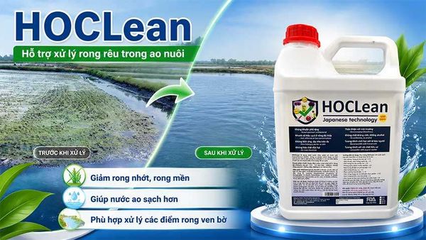 HOCL