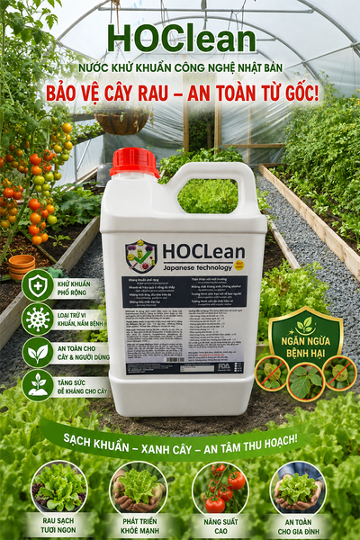HOCL