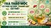Cách sử dụng trà thảo mộc để thanh lọc cơ thể và thư giãn mỗi ngày