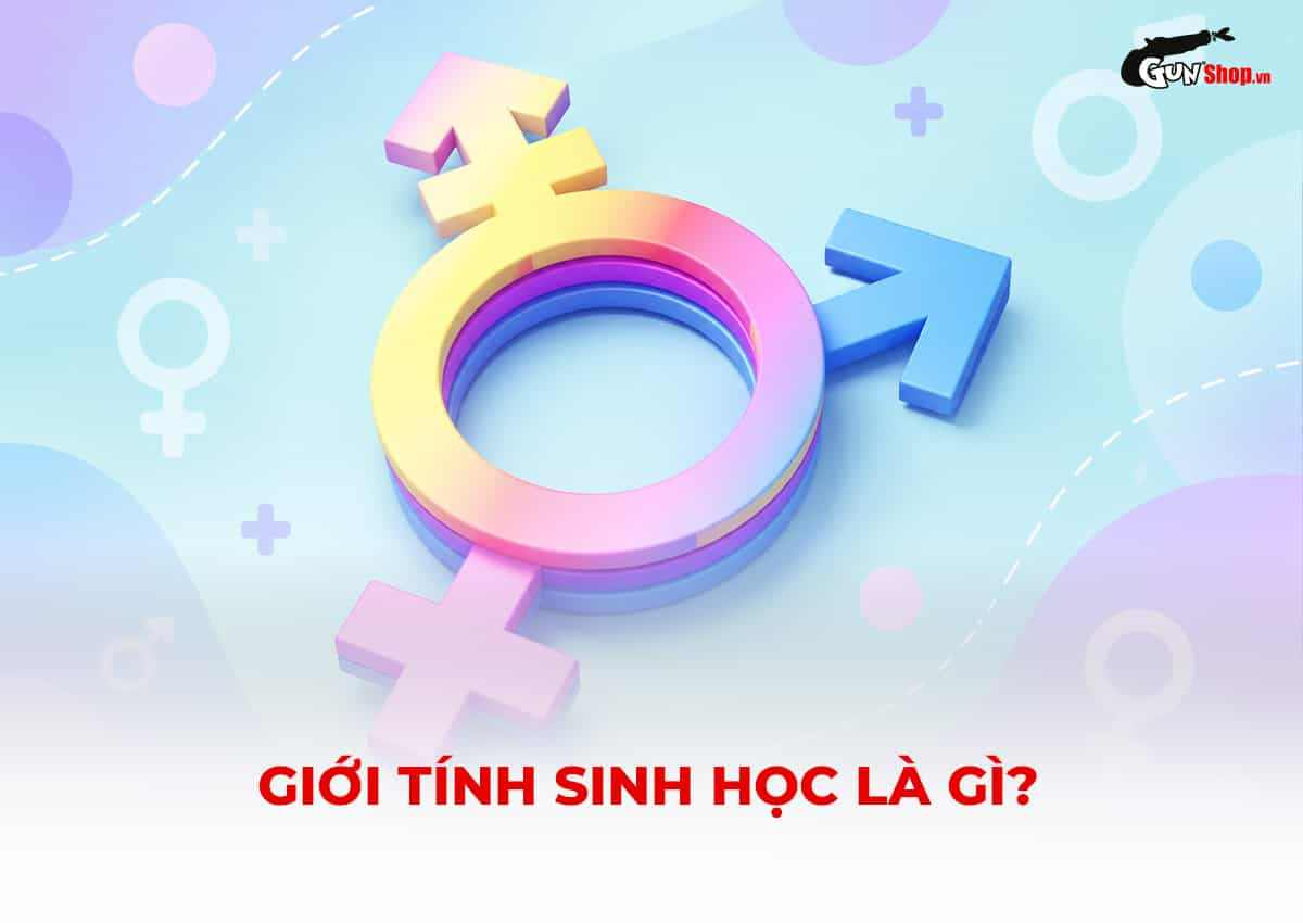 Giới tính sinh học là gì?