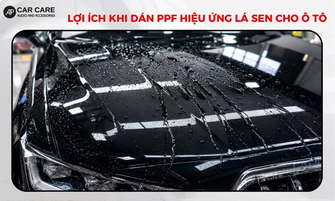 Lợi ích vượt trội khi dán PPF hiệu ứng lá sen cho ô tô