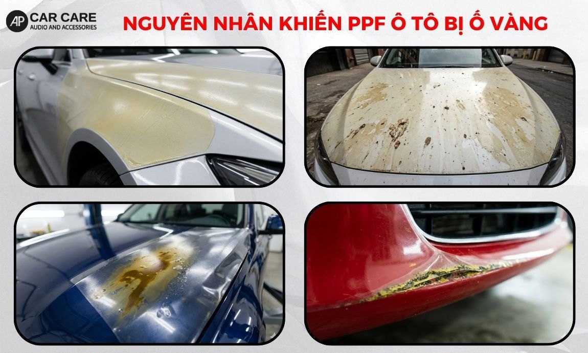 4 nguyên nhân khiến PPF ô tô bị ố vàng nhanh chóng