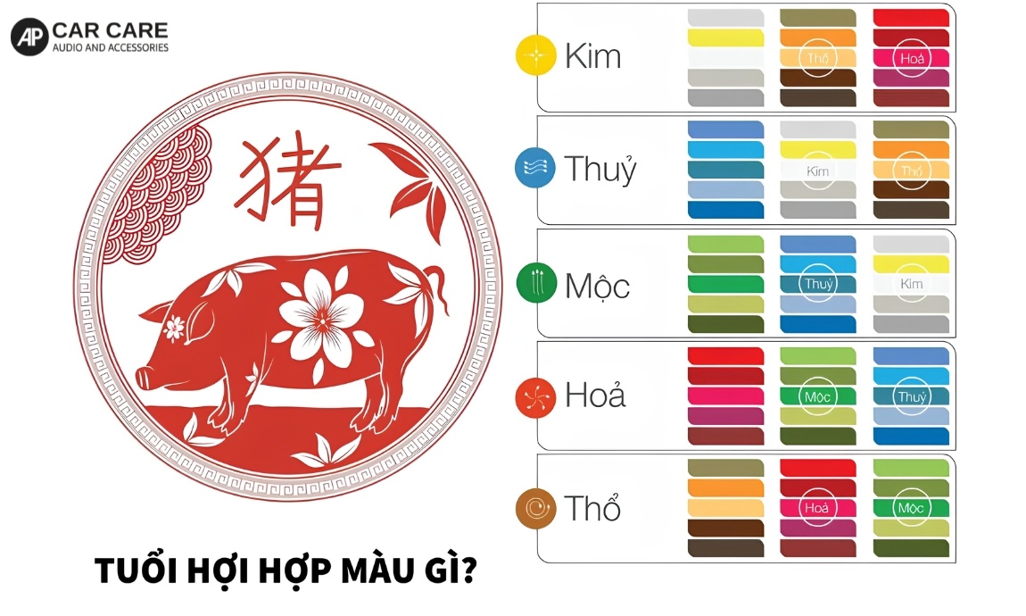 Tại sao mua xe nên chọn màu hợp với tuổi Hợi?