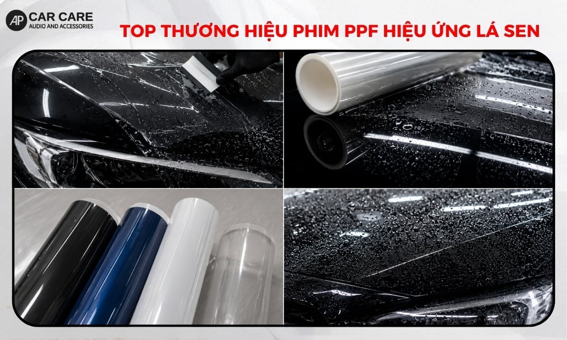 Top thương hiệu phim PPF sở hữu hiệu ứng lá sen được tin dùng