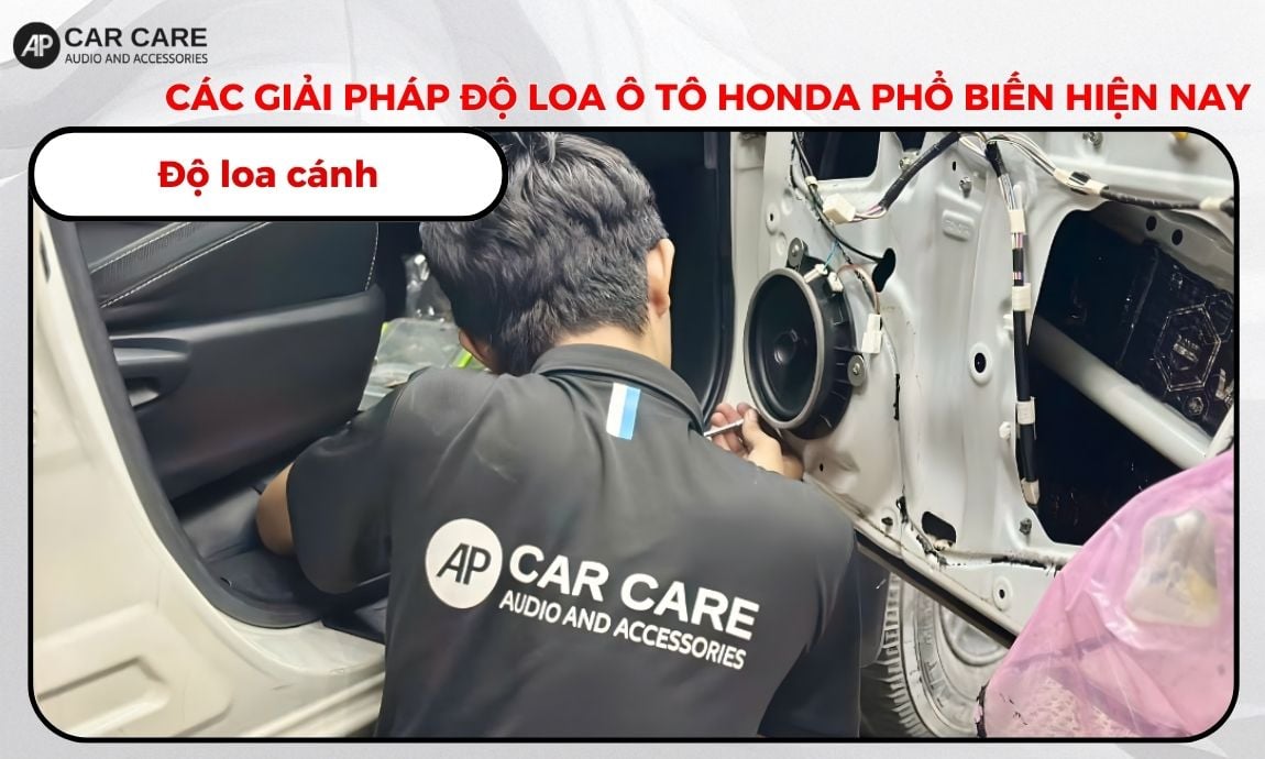 Độ loa cánh