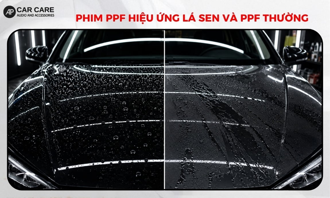 So sánh phim PPF hiệu ứng lá sen và PPF thông thường