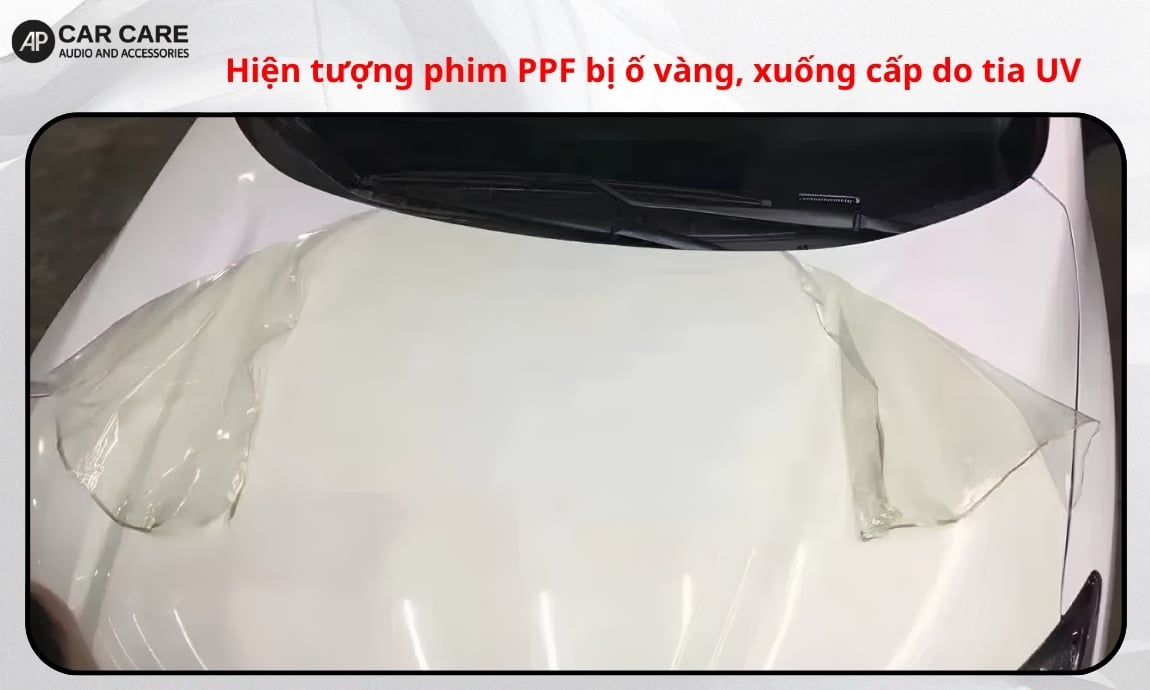 Hiện tượng phim PPF bị ố vàng, xuống cấp do tia UV