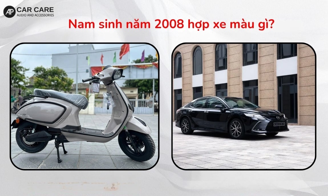 Nam sinh năm 2008 hợp xe màu gì?