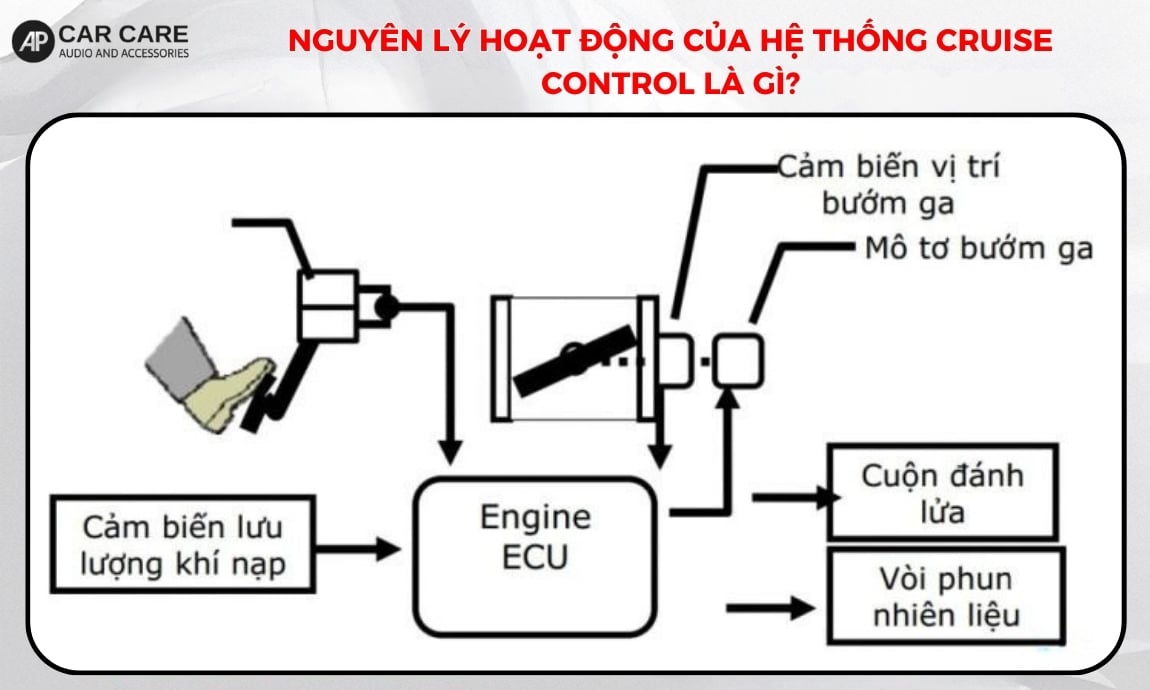 Nguyên lý hoạt động của hệ thống cruise control là gì?