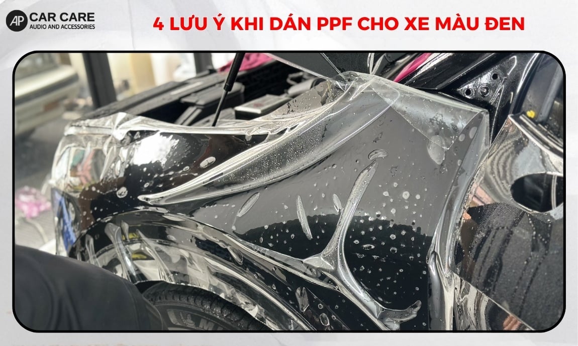 Lưu ý khi dán PPF cho xe màu đen đạt chuẩn Detailing