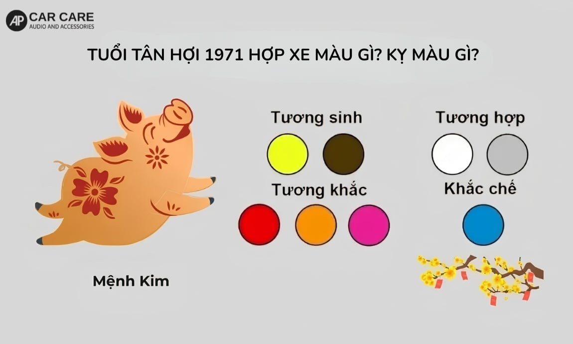 Tuổi Tân Hợi 1971 hợp với xe màu gì?