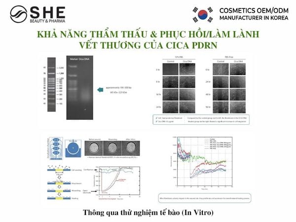 Gia công mỹ phẩm Cica PDRN
