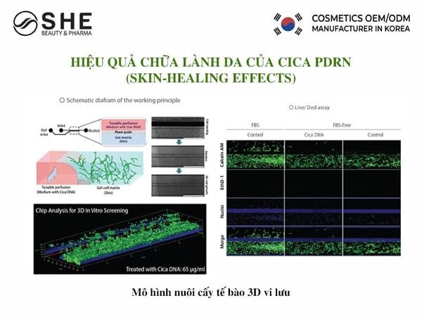 Gia công mỹ phẩm Cica PDRN