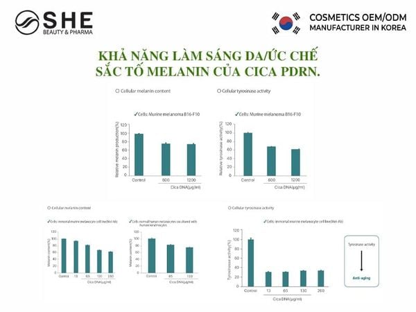 Gia công mỹ phẩm Cica PDRN