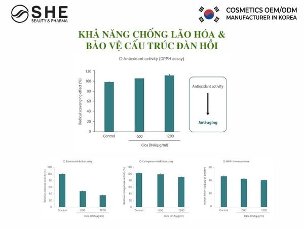 Gia công mỹ phẩm Cica PDRN