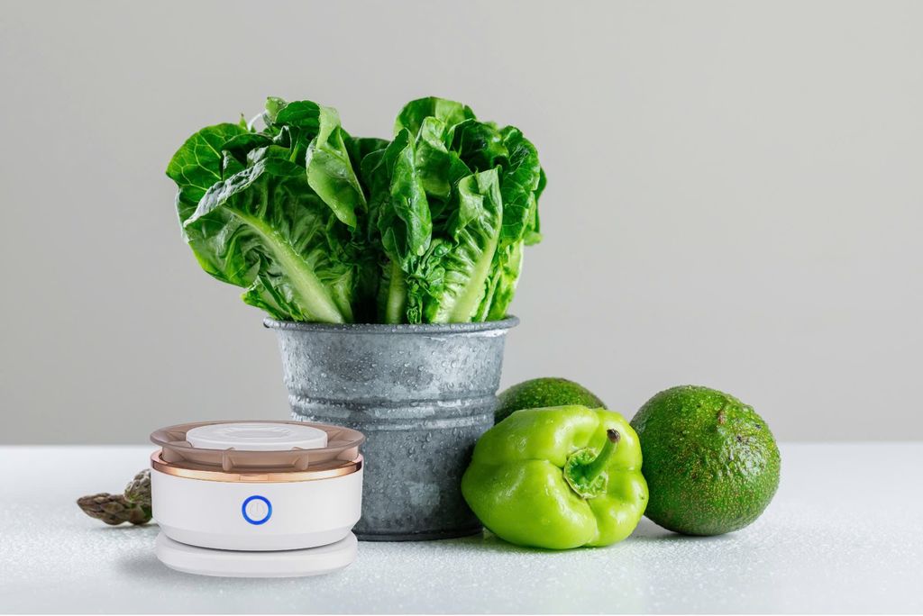 Máy rửa thực phẩm Ultty WFX