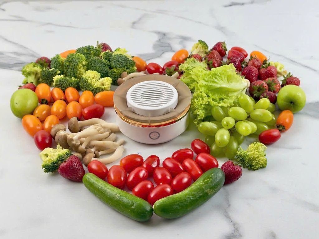 Máy rửa hoa quả thực phẩm U-Ultty WFX