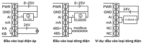 dau_noi