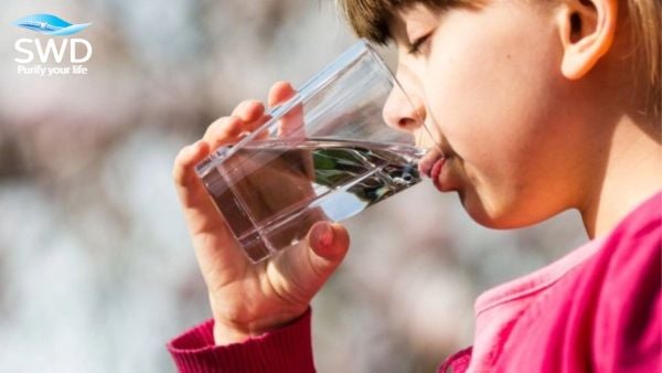 Khám phá sự thật về kim loại nặng trong nước máy gây hại hệ tiêu hóa và làm hỏng thiết bị gia nhiệt. Giải pháp lọc tổng tinh khiết Dòng R từ SWD mang lại rào chắn an toàn tuyệt đối. Khi đánh giá chất lượng nguồn nước sinh hoạt, người tiêu dùng thường chỉ dựa vào các yếu tố cảm quan như độ trong suốt hay mùi vị. Tuy nhiên, sự thật đáng báo động là những nguồn nước máy trông có vẻ trong vắt nhất lại có thể chứa đựng một lượng lớn các ion kim loại nặng hòa tan. Sự hiện diện của kim loại nặng (như Chì, Asen, Sắt, Thủy ngân) bong tróc từ hệ thống đường ống ngầm đô thị chính là một