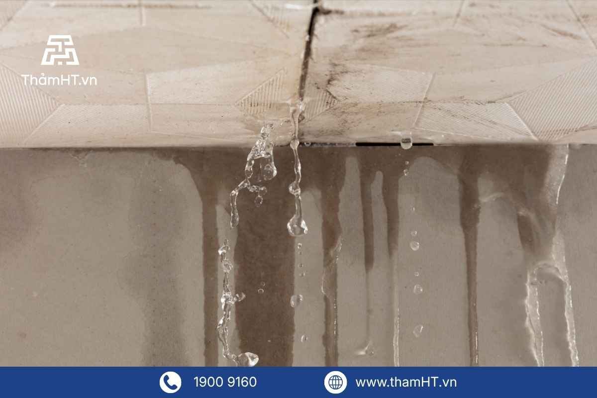 Thi công thảm trản sàn văn phòng chuyên nghiệp - Thảm HT