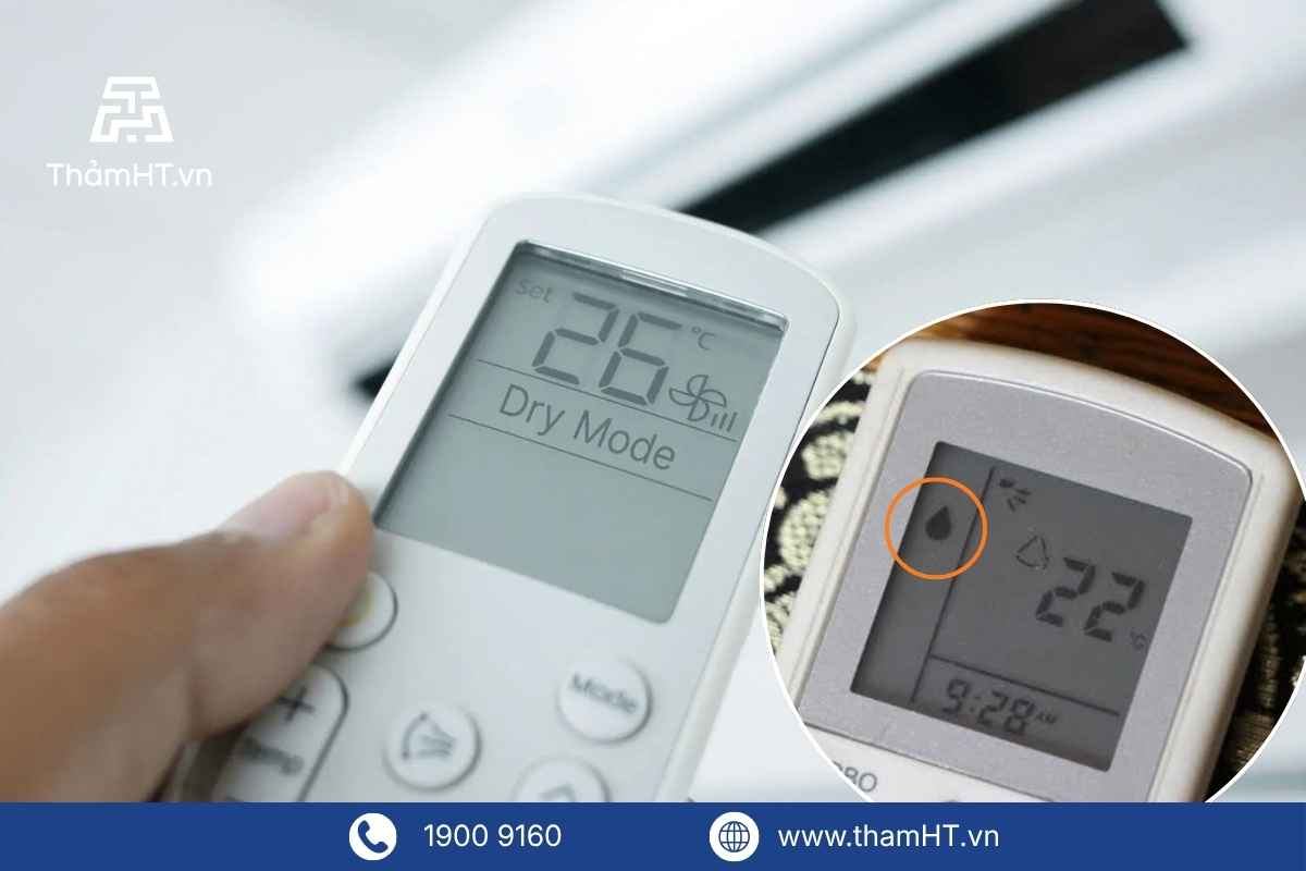 Thi công thảm trản sàn văn phòng chuyên nghiệp - Thảm HT