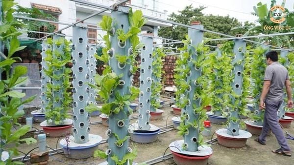 Kinh nghiệm mua ống nhựa lưới dẻo phù hợp cho hệ thống tưới tiêu trong nông nghiệp