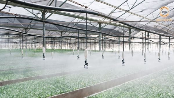 Kinh nghiệm mua ống nhựa lưới dẻo phù hợp cho hệ thống tưới tiêu trong nông nghiệp