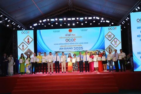 🌼MẬT NHỤY HOA THỐT NỐT TRẦN GIA - SẢN PHẨM OCOP TIÊU BIỂU NĂM 2025🌼