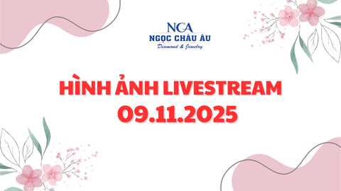 Hình Ảnh Livestream Ngày 09.11.2025