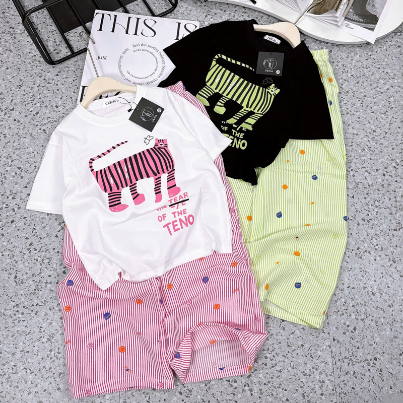 Bộ thun dài bé gái mèo sọc Teno