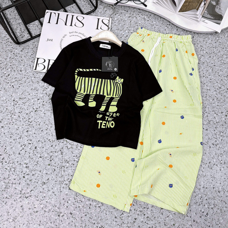 Bộ thun dài bé gái mèo sọc Teno