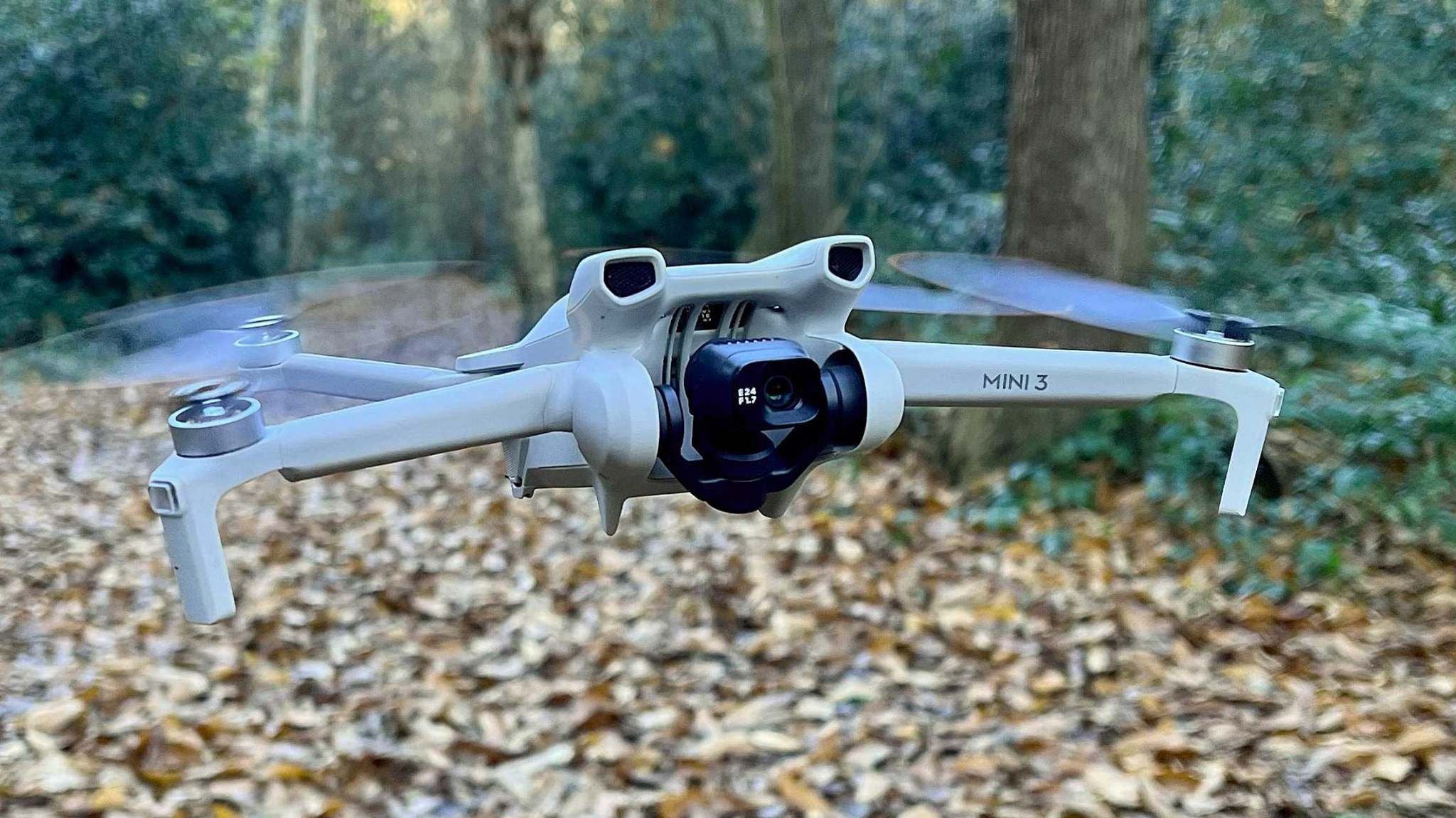 mini 3