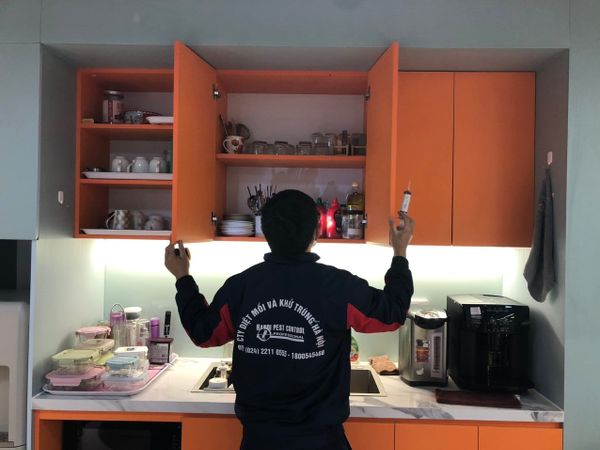 kiểm soát côn trùng homestay