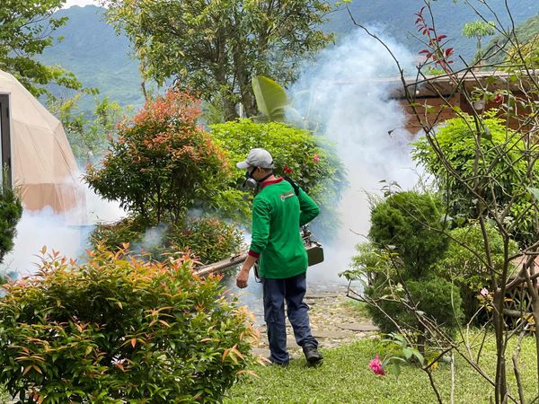 kiểm soát côn trùng homestay