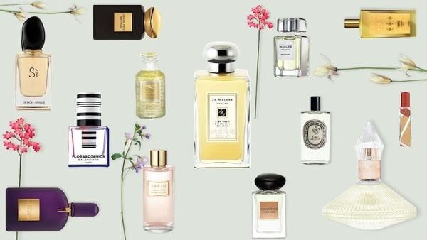 mùi hương là gì