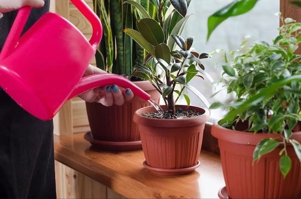việc nên làm để bảo vệ môi trường