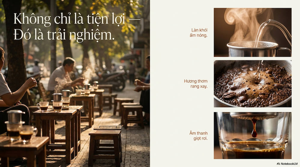 Các Loại Phin Cafe: So Sánh Chi Tiết Để Chủ Quán Chọn Đúng Ngay Lần Đầu