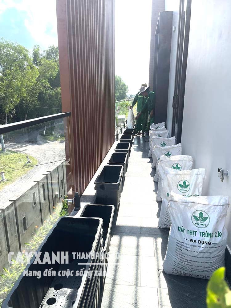 đất trồng cây trộn sẵn
