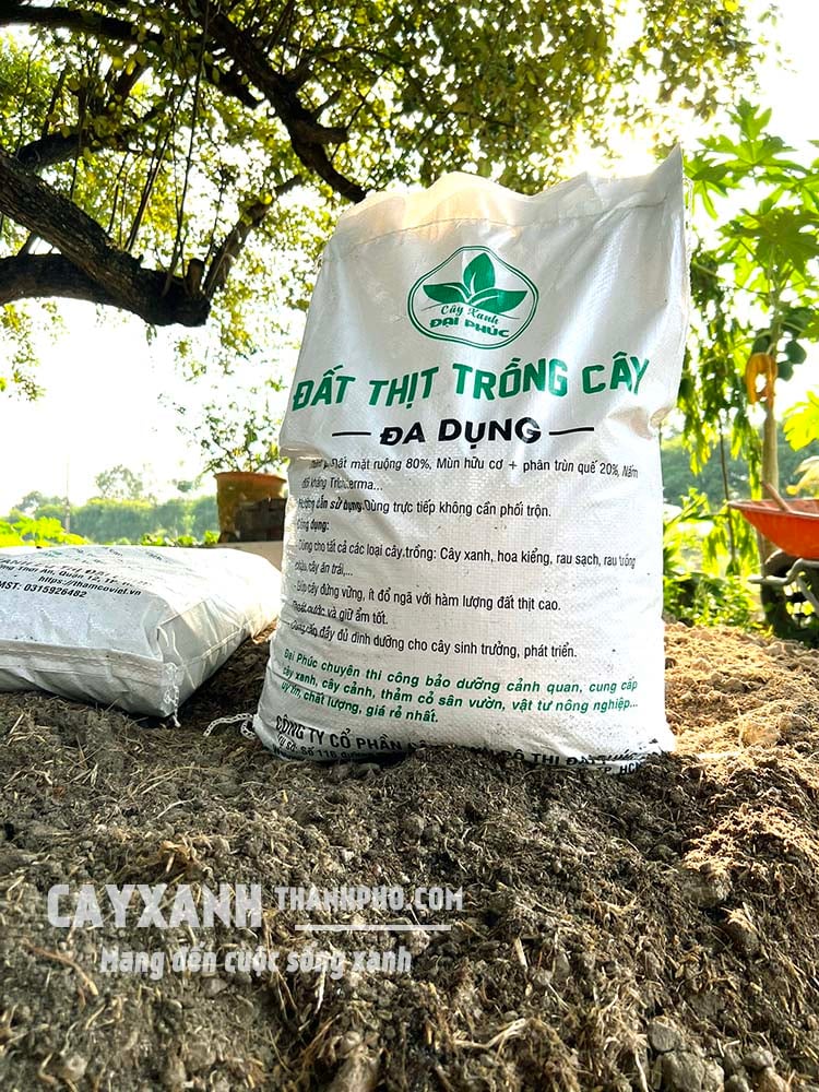 đất trồng cây trộn sẵn