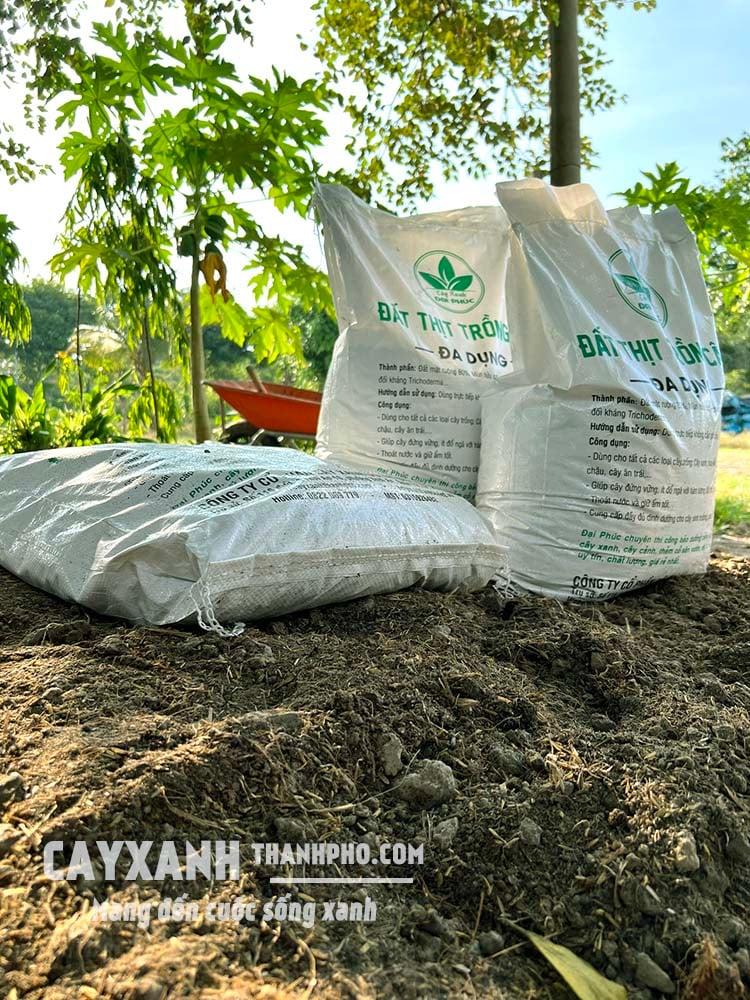 đất thịt trộn sẵn