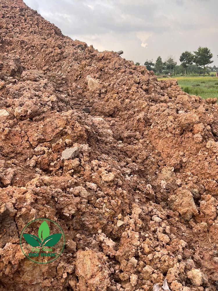 mua đất san lấp tphcm