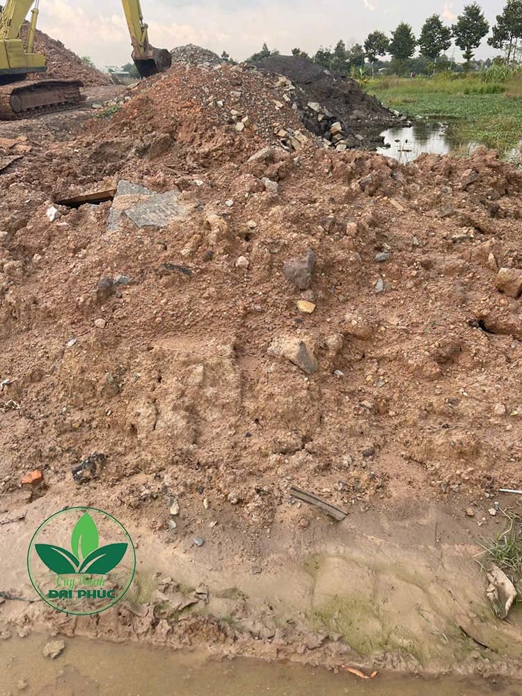 giá đất san lấp tphcm