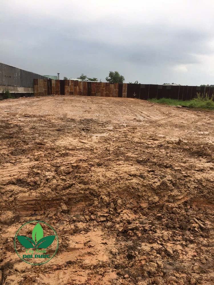 đất san lấp mặt bằng tphcm