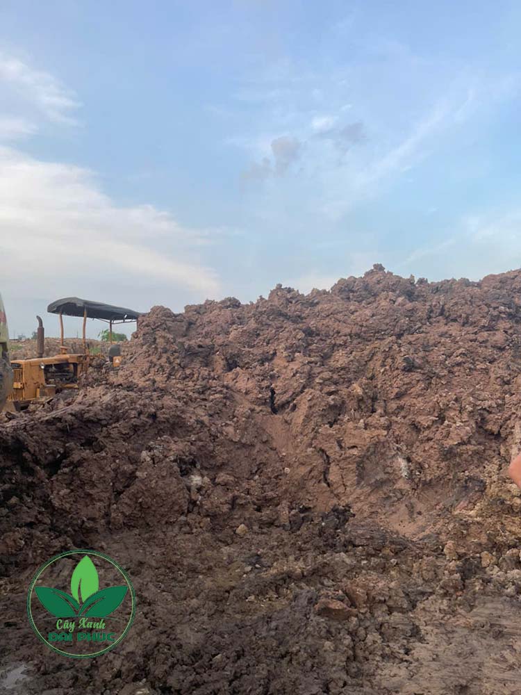 đất san lấp mặt bằng tphcm