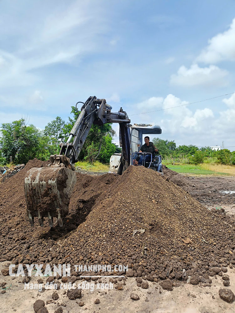 đất trộn trồng cây