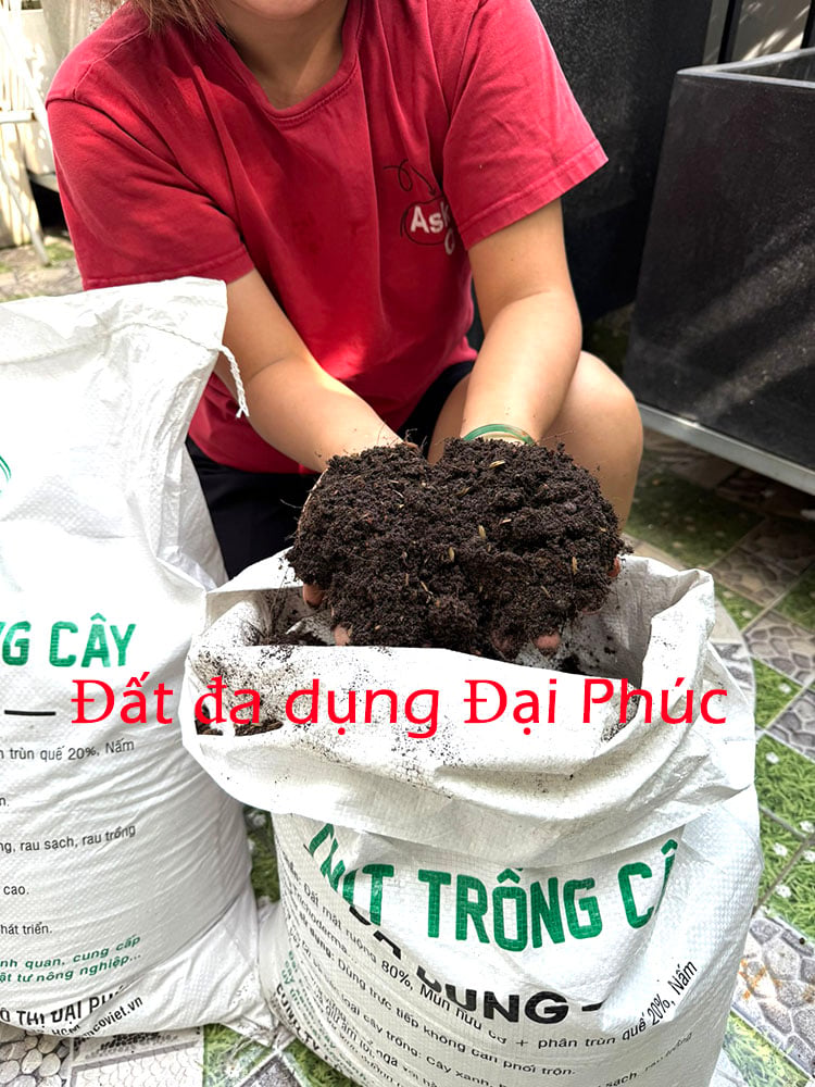 đất trồng cây